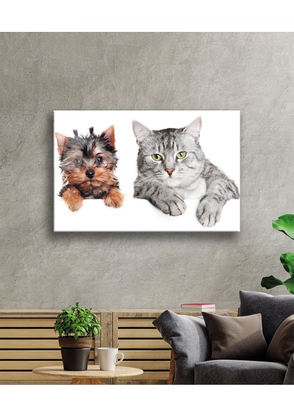 Kedi ve Köpek Cam Tablo fiyatları