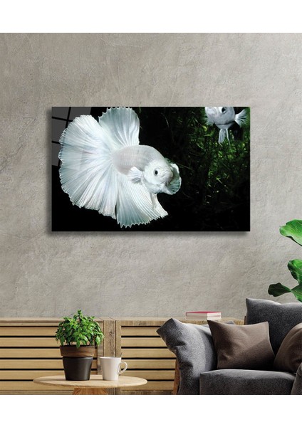 Beyaz Balık Cam Tablo White Fish fiyatları