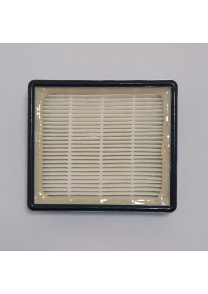 8144 Çıkış Mavi Hepa Filtre modelleri