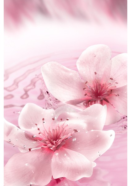 Dream Dusk - EDP 100 ml Kadın Parfüm - Luxury Fragrance Koleksiyonu indirimleri