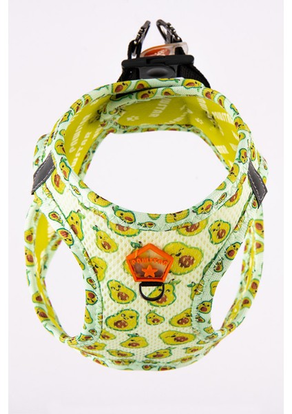 Köpek Göğüs Tasması fırsatları