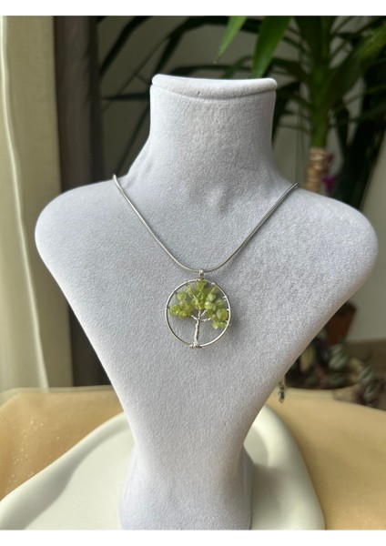 Zebercet Kolye fiyatları