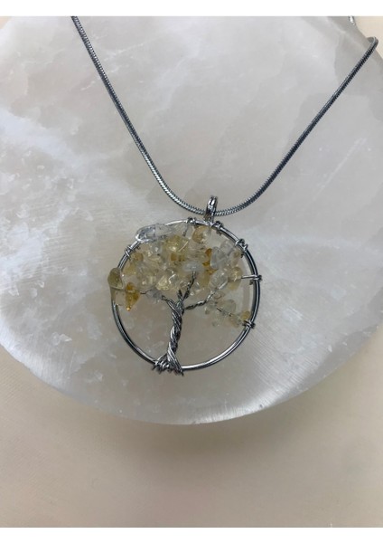 Sitrin Çelik Kolye fiyatları