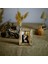 Ahşap 10X15 cm Tekli Hem Yatay Hem Dikey Fotoğraf Çerçevesi-Natural 3