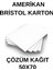 Amerikan Bristol Karton 50X70 cm 300 gr - 100 Adet 1