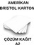 Amerikan Bristol Karton A2 42X59.4 cm 400 gr - 50 Adet 1