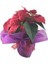 Atatürk Çiçeği Ponsetya Poinsettia Canlı 3
