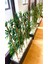 Yapay Bambu Bamboo Ağacı 1 mt Boy Bambu Çubuklar 3 Set Antrasit Ahşap Saksıda Iç Mekan 3