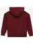 Discovery Expedition Mürdüm Erkek Çocuk Kapüşonlu Oversize Sweatshirt D3WB-SWT13 2