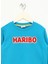 Işlemeli Erkek Çocuk Turkuaz Sweatshırt HRBTXT308 Haribo Çocuk Sweatshirt 3
