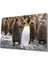 Penguenler Cam Tablo 1