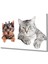 Kedi ve Köpek Cam Tablo 1