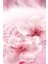 Dream Dusk - EDP 100 ml Kadın Parfüm - Luxury Fragrance Koleksiyonu 5