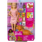 Barbie ve Hayvan Dostları HCK75 Frozen Temalı Model Bebek Seti Renkli Aksesuarlarla