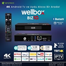 Wellbox Android Tv Box Uydu Alıcısı 2gb Ram 16GB Rom Biz-10