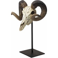 Wise Unicorn Gerçekçi Ayaklı Koç Başı Kafası Iskeleti | Dekoratif Objeler | Ofis Dekorasyon | Ev Dekorasyon