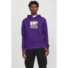 Jack & Jones Jcologan Sweat Hood AW23 Mor