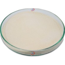 Dolar Kimya Ksantan Sakızı E415 | 5.00 kg (Ksantan Gum,xanthan Gum,xanthan Sakızı)