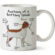 Art Hediye Köpek Anatomisi Brittany Spaniel Anatomy Iki Tarafı Baskılı Kupa Bardak