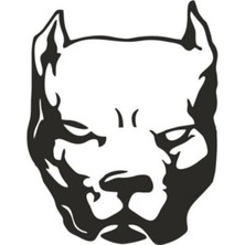 Pitbull Köpek Sticker 15*11,5 cm