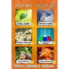 Auran Mango Esansiyel Uçucu Koku Yağı Buhurdanlık Yağı Difüzör Esansı Hobi Esans Ortam Oda Kokusu 10ml