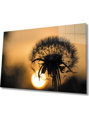 Miray Life Gün Batımında Bitkiplant Table Tempered At Sunset