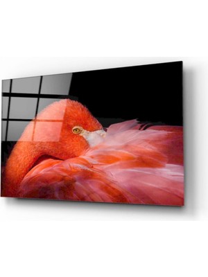 Miray Life Kuş Cam Tablo