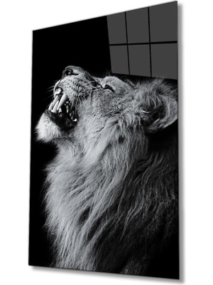 Miray Life Aslan  Cam Tablo, Lion