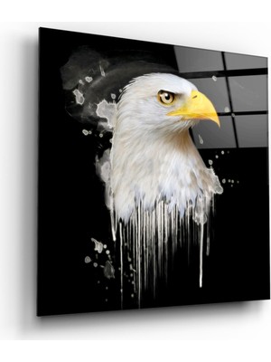 Miray Life Kartal Cam Tablo