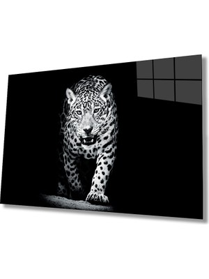 Miray Life Kaplan Hayvan Cam Tablo