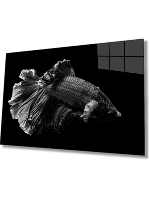 Miray Life Balık Hayvan Cam Tablo