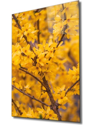 Miray Life Sarı Dal Cam Tablo Yellow Brench