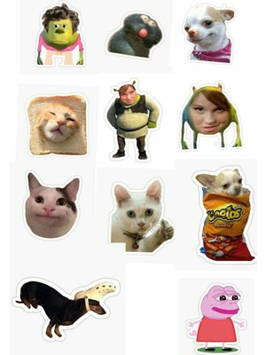 Bsb Popüler Sticker Telefon Laptop Notebook Tablet Defter Matara Stiker Etiket St542