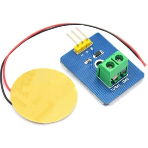 Piezoelektrik Seramik Titreşim Sensörü