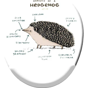 Art Hediye Kirpi Anatomisi Baskılı Bilek Destekli Mouse Pad Mousepad