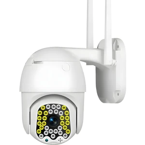 2mp Mini 2.5 Inç Wıfı Ip IP66 Su Geçirmez Güvenlik Kamerası Kablosuz Renkli Gece Görüş
