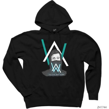 Sweater alan walker online