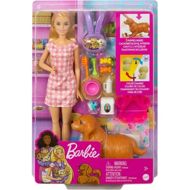 Barbie ve Hayvan Dostları HCK75 Frozen Temalı Model Bebek Seti Renkli