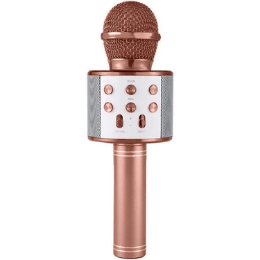 Aybastılı Karaoke Mikrofonlu Hoparlör - Şarjlı -Bluetooth Rose
