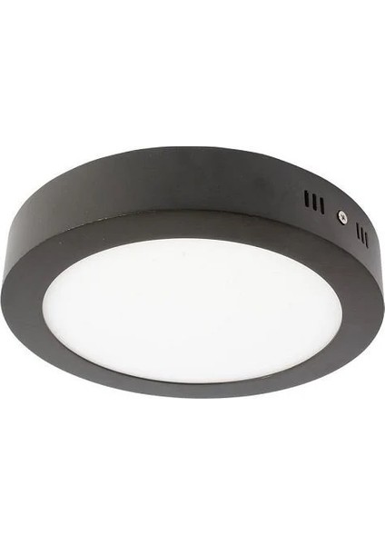 30W Sıva Üstü LED Panelsiyah Kasa 3200K