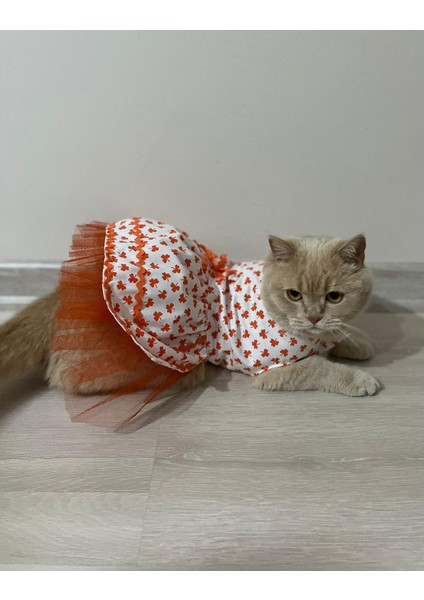 Turuncu Yaprak Desenli Kurdeleli Beyaz Kedi Köpek Kıyafeti Elbisesi Xlarge xl Beden 4