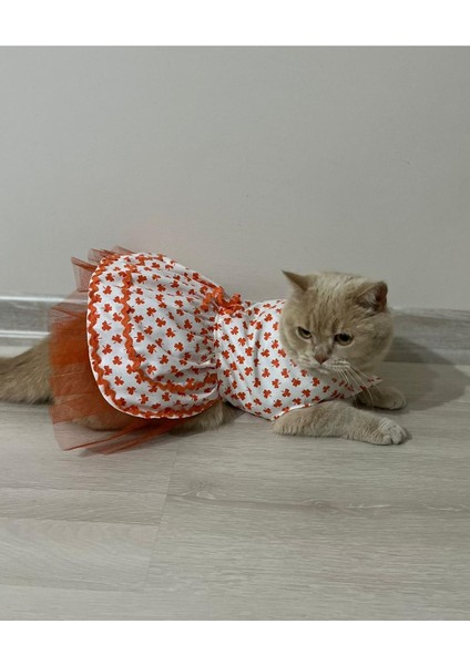 Turuncu Yaprak Desenli Kurdeleli Beyaz Kedi Köpek Kıyafeti Elbisesi Xlarge xl Beden 4 fiyatları