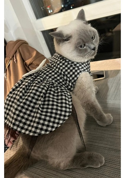 Beyaz Siyah Kareli Dişi Kedi Köpek Kıyafeti Elbisesi Xlarge/xl/beden 4