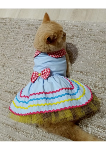 Rengarenk Festival Temalı Renkli Papyonlu Tüllü Kedi Köpek Kıyafeti Elbisesi Xlarge xl Beden 4