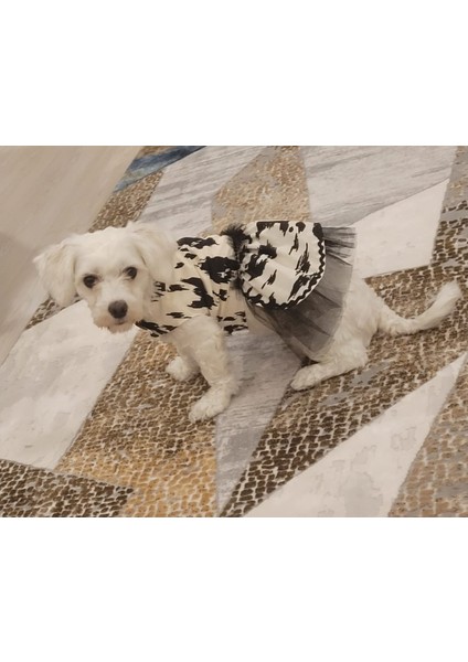 Siyah Beyaz Leopar Desenli Tüllü Kedi Köpek Kıyafeti Elbisesi Xlarge xl Beden 4 modelleri