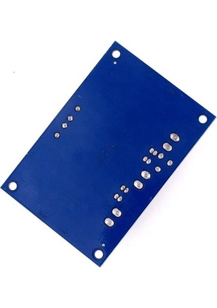 TPA3116 D2 12V-24V 100W Mono Dijital Ses Amplifikatör Modülü