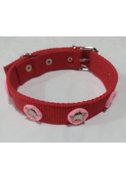 Süslü Köpek Tasması 60X3 cm