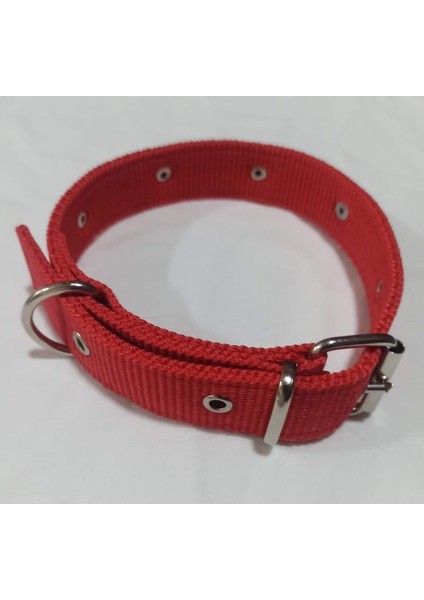 Süslü Köpek Tasması 60X3 cm