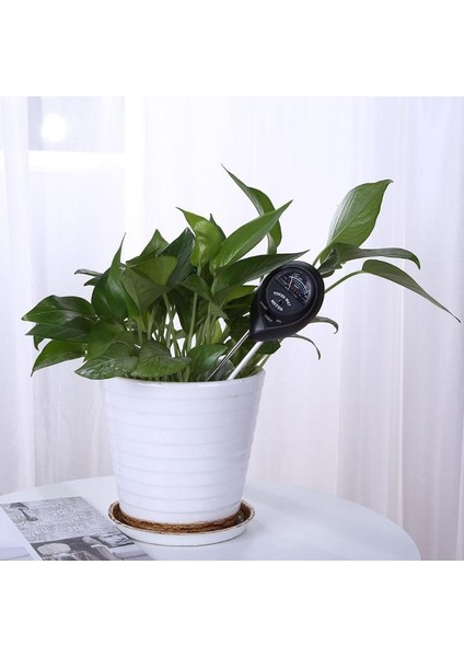 In 1 Toprak Ph Ölçer Analizörü Çiçek Bitkiler Higrometre Toprak Test Cihazı Bitkiler Büyüme Nem Işık Yoğunluğu Ölçer Enstrüman (Yurt Dışından) fırsatları