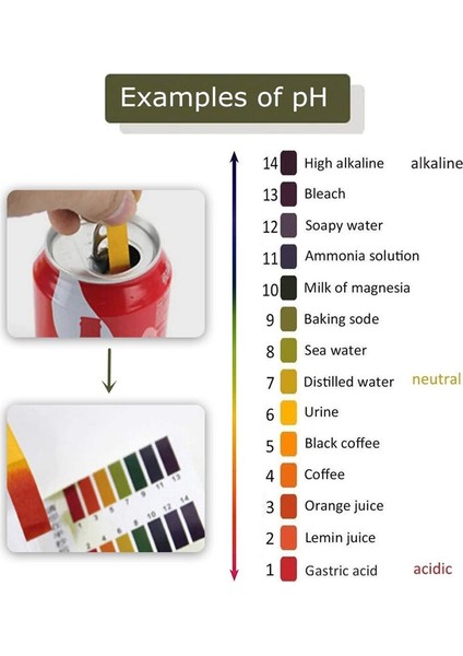 Kapsamlı 80 Şerit/set Ph Test Şeritleri Tam Ph Ölçer Kontrol Cihazı 1-14ST Gösterge Turnusol Kağıdı Su Kirliliği Idrar Toprak Testi (Yurt Dışından) fiyatları